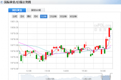 支撑贵金属1秒查行